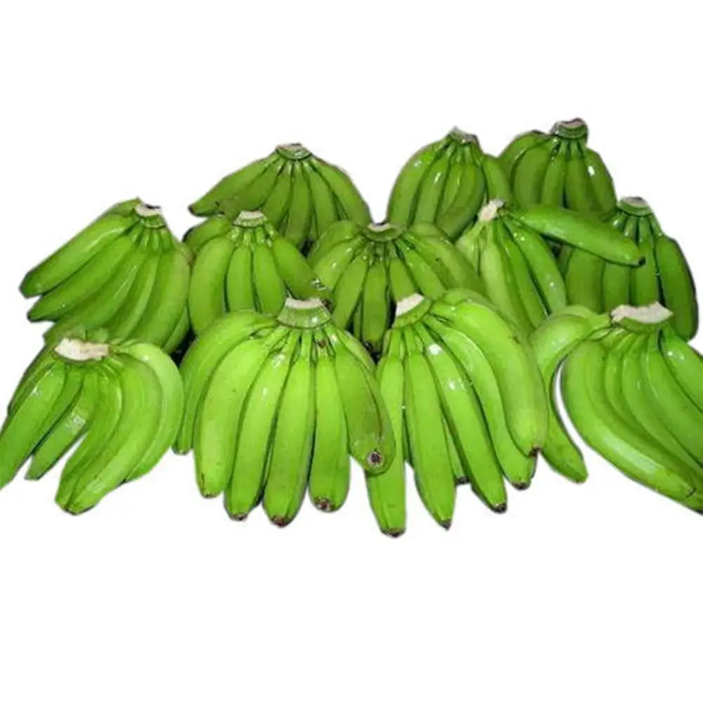 best price green cavendish banana