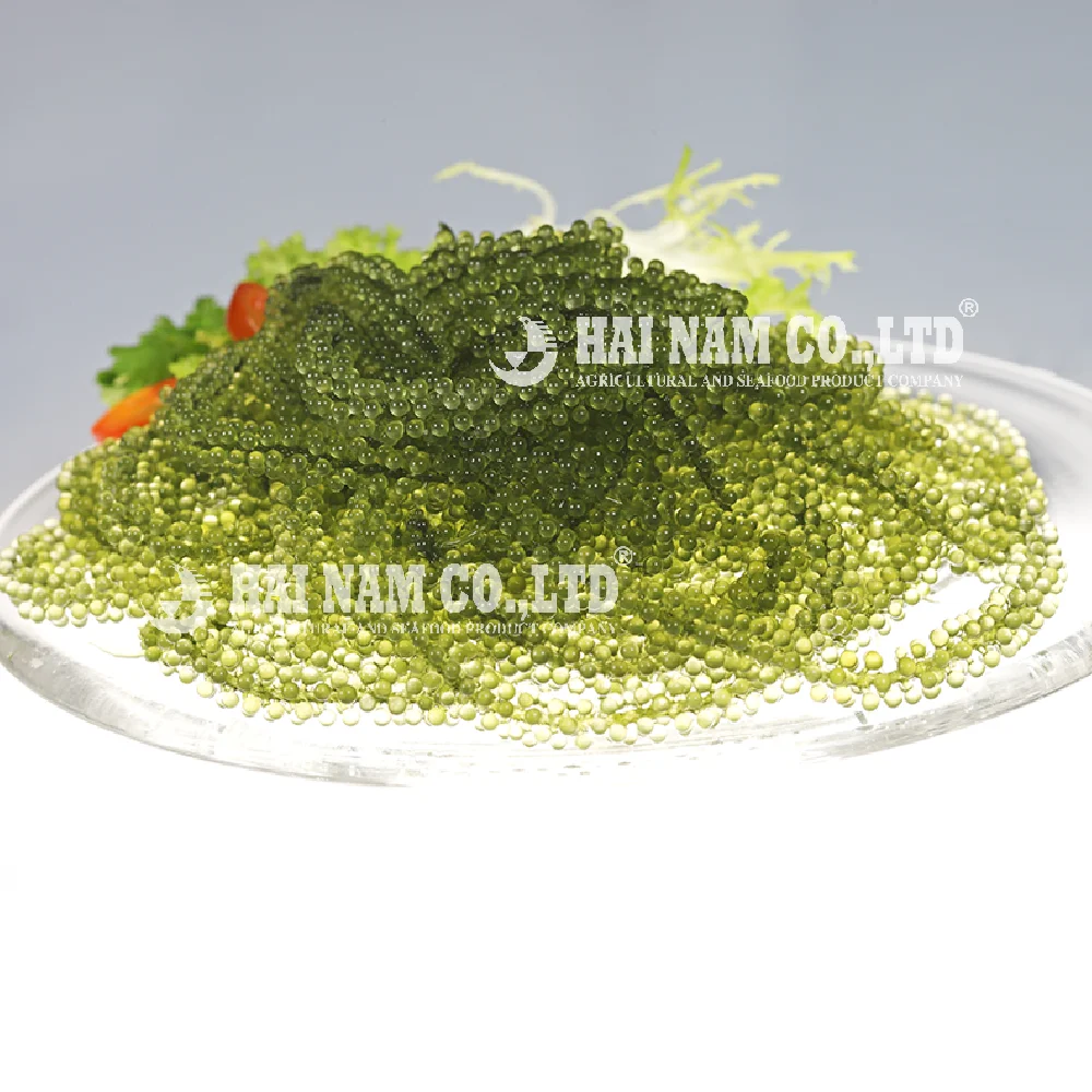 
Wholesale High Quality Fresh Salted Style Grape Seaweed Made In Vietnam 