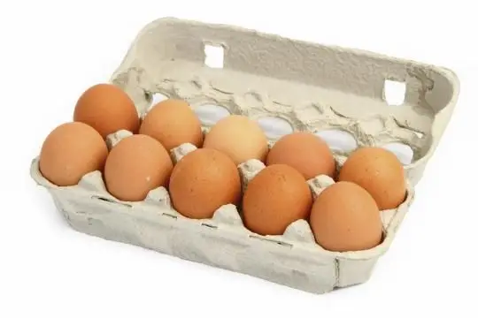 fresh table eggs for sale from ukraine