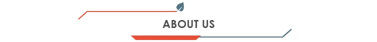 About-Us-t.jpg