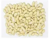 Crunchy Blanched Peanuts (Groundnut) Supplier