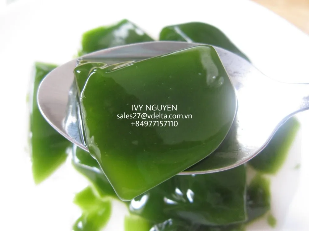 Suong Sam Leaf/ Tiliacora Triandra/ Green Grass Jelly Leaves From