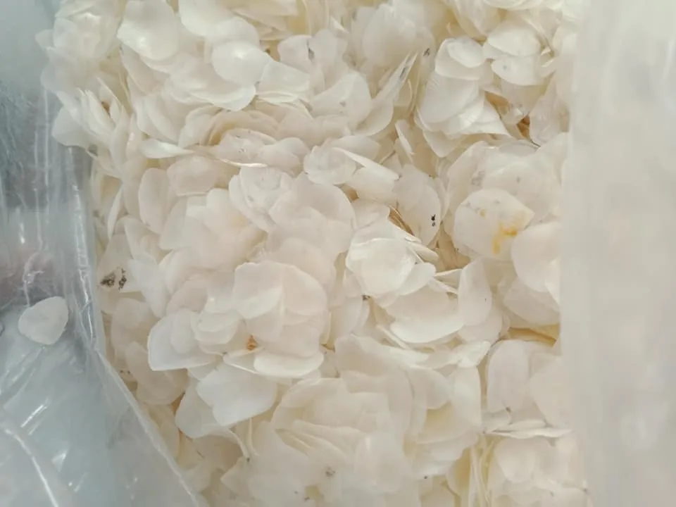 Dried Tilapia Fish Scales From Vietnam Fish Scales Collagen Powder