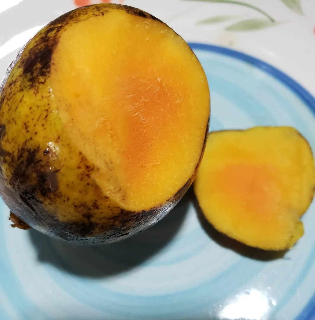 Wholesale Irvingia Gabonensis Seed/bush Mango For Sale Buy Mango Seed