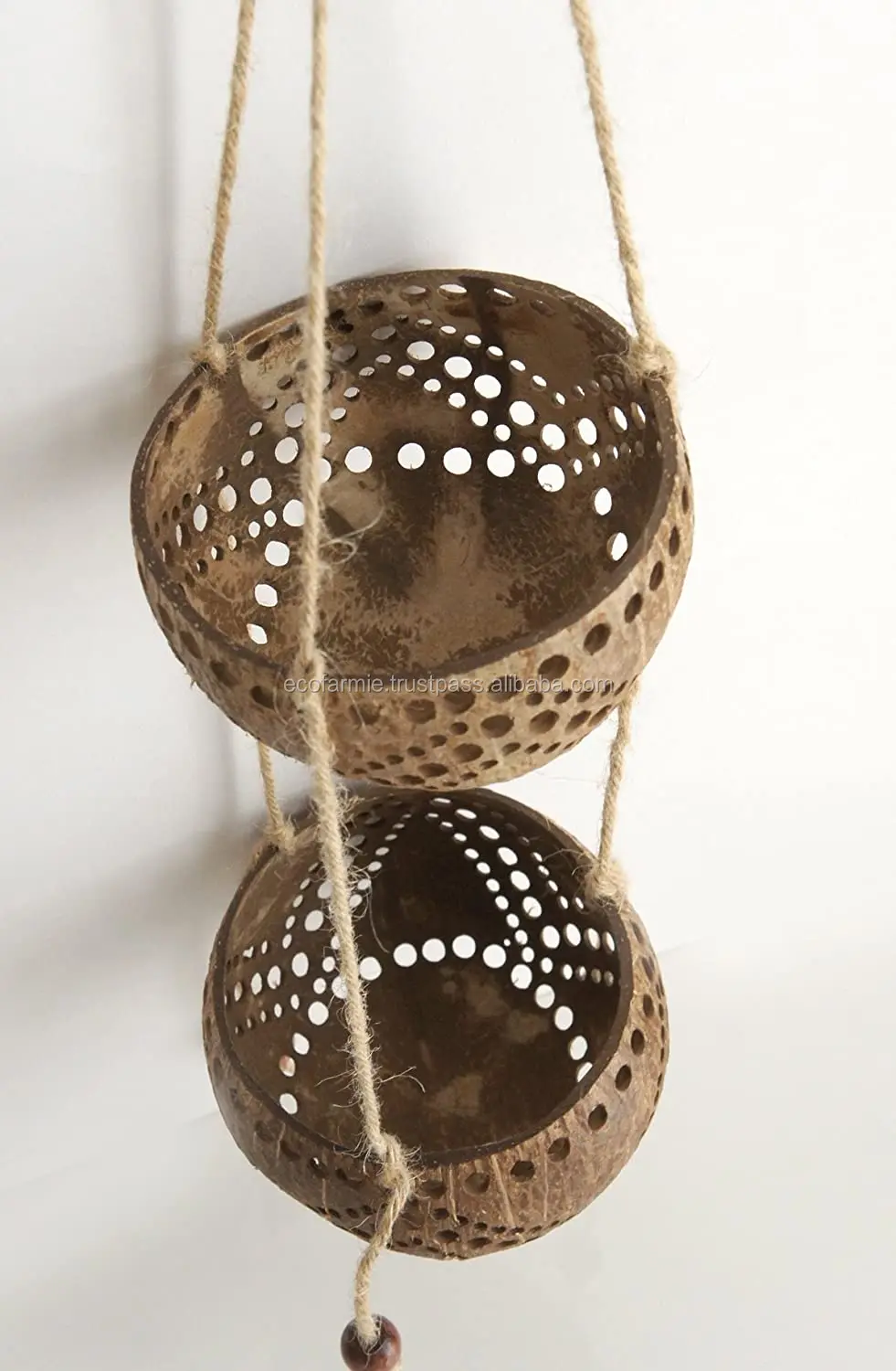 Biodegradable Eco Friendly Coconut Flower Planter Pots/ Natural ...