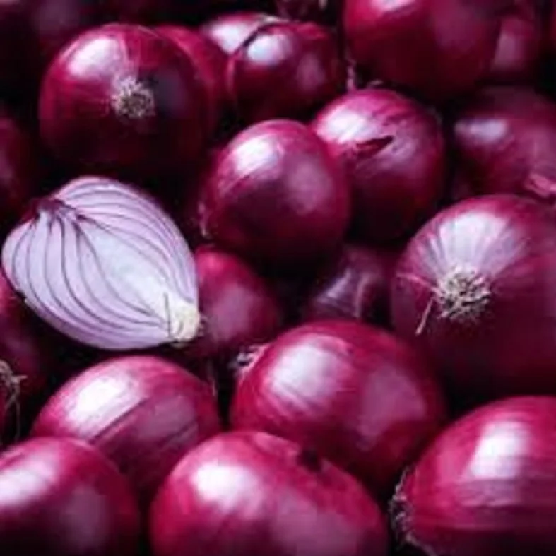 onion.jpg
