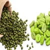 Viet Nam green coffee beans robusta - weight loss drink - Whatsapp: +84-845-639-639