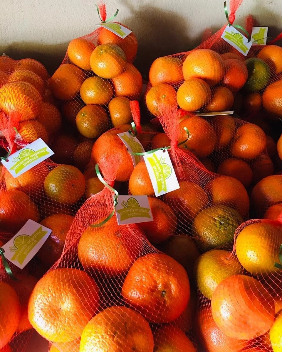 
top quality Fresh Naartjies 