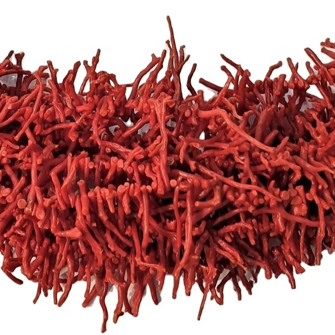 
RED CORAL NATURAL BRANCH STRANDS 