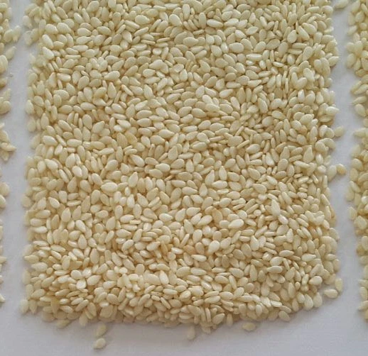 
High quality natural white sesame seeds 2020 