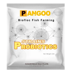 Biofloc-Fish-Farming.png