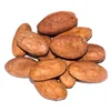 Dried Fermented Cacao & Natural Cocoa Powder