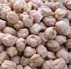 /product-detail/broad-beans-for-wholesale-62014061949.html
