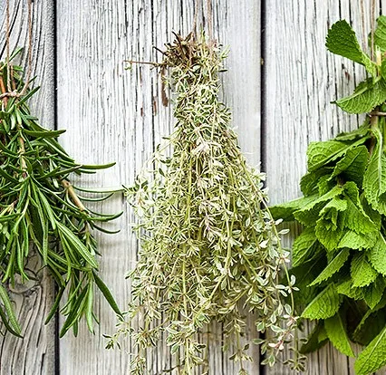 Herbs for Blends.jpg
